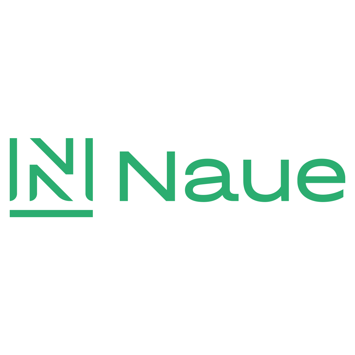 NAUE GmbH & Co. KG Logo